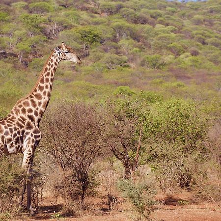 Sophienhof Lodge أوتجو المظهر الخارجي الصورة